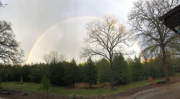 A perfectly timed photo of a full, vibrant rainbow that appears to be landing in a backyard.