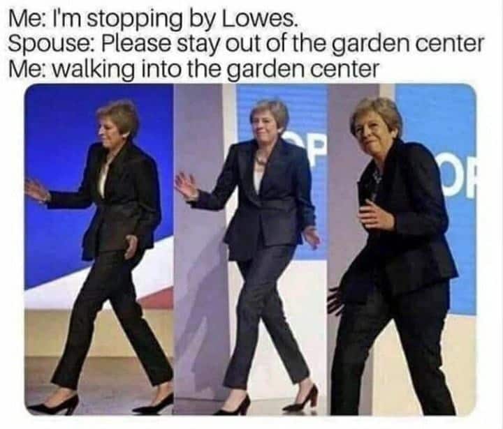 plant memes, gardening memes, botanical memes, greenery memes, horticulture memes, garden memes, plant parent memes, green thumb jokes, plant parent jokes, horticultural humor, indoor plant humor, houseplant humor, potted plant memes