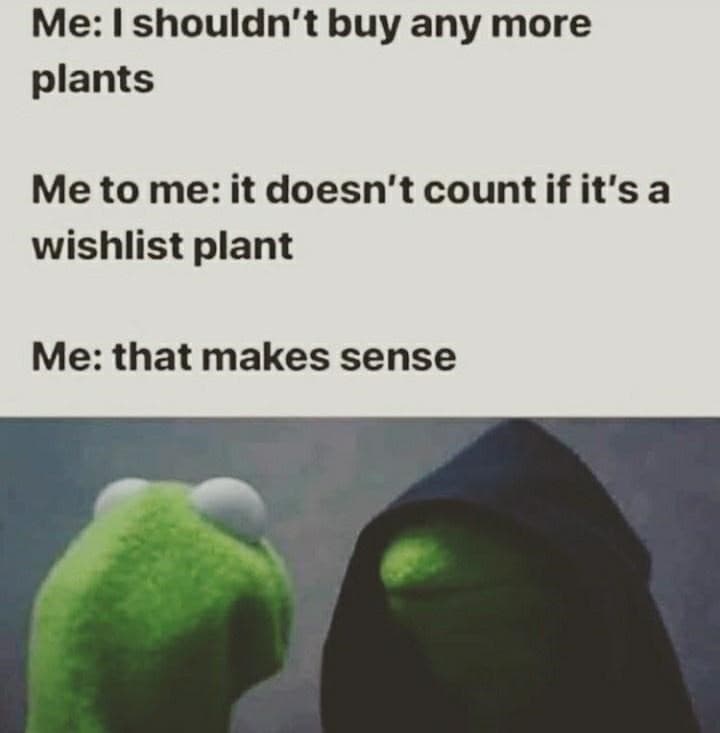 plant memes, gardening memes, botanical memes, greenery memes, horticulture memes, garden memes, plant parent memes, green thumb jokes, plant parent jokes, horticultural humor, indoor plant humor, houseplant humor, potted plant memes