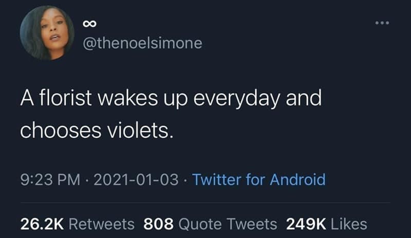 plant memes, gardening memes, botanical memes, greenery memes, horticulture memes, garden memes, plant parent memes, green thumb jokes, plant parent jokes, horticultural humor, indoor plant humor, houseplant humor, potted plant memes