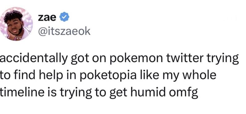 This Pokopia meme roasts overachievers by showing a massive, complex medieval city build under the caption: "MFs be like: End of Day 2 Pokopia. Not too shabby."