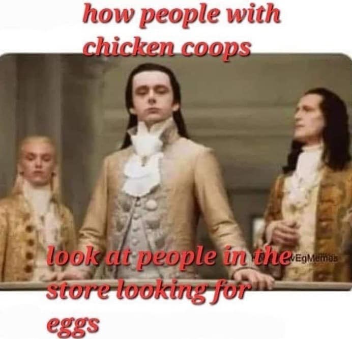 price of eggs memes, expensive egg memes, Egg price inflation, rising egg prices, cost of eggs skyrocketing, egg market crisis, food price memes, grocery inflation memes, expensive food jokes, high cost of living memes, Trump economy memes, inflation under Trump, Trump price hike jokes, Trump affordability memes