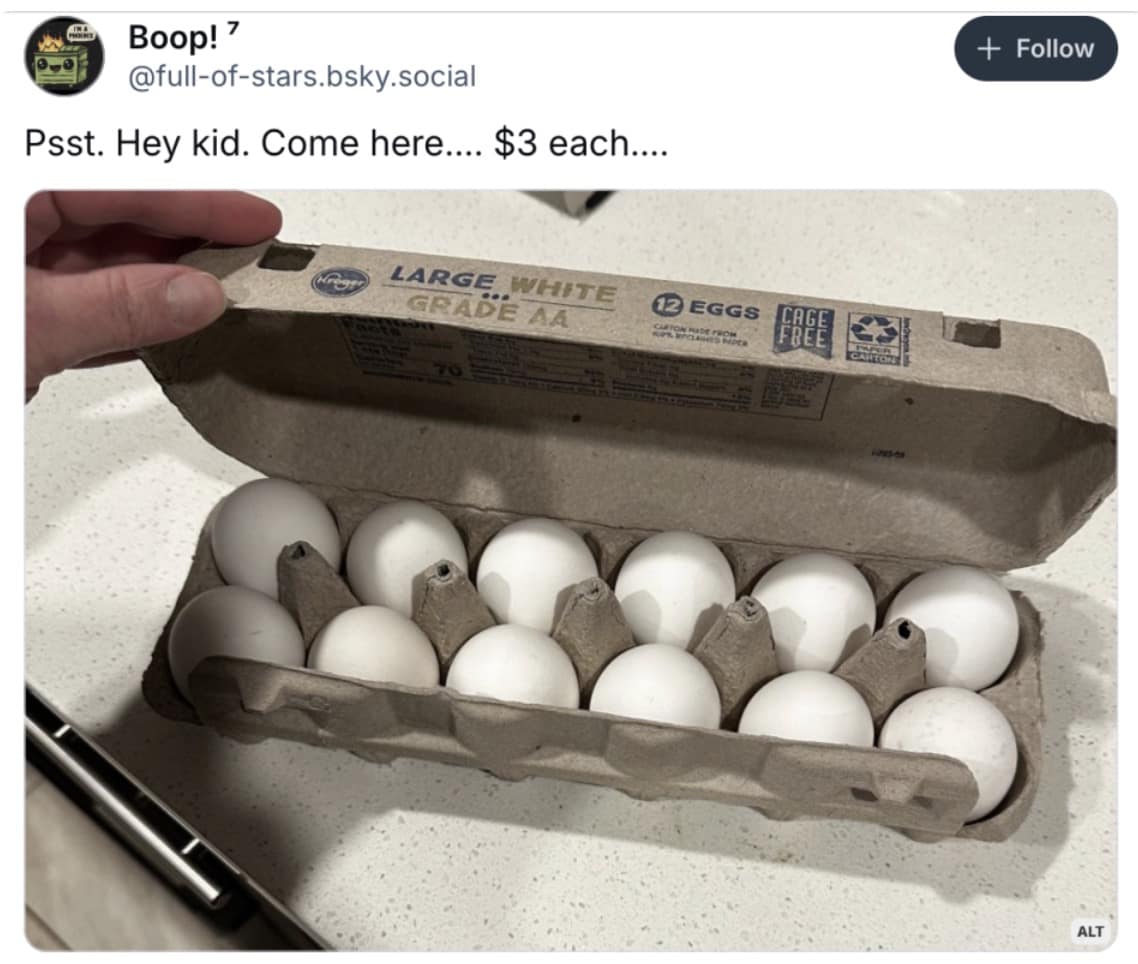 price of eggs memes, expensive egg memes, Egg price inflation, rising egg prices, cost of eggs skyrocketing, egg market crisis, food price memes, grocery inflation memes, expensive food jokes, high cost of living memes, Trump economy memes, inflation under Trump, Trump price hike jokes, Trump affordability memes