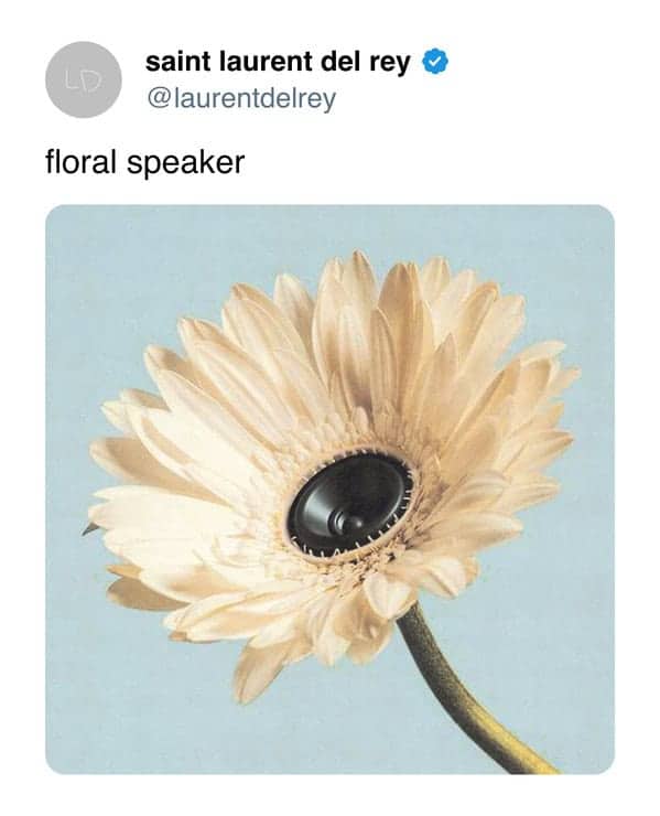 A blooming white gerbera daisy with a high-fidelity black speaker integrated into its center.