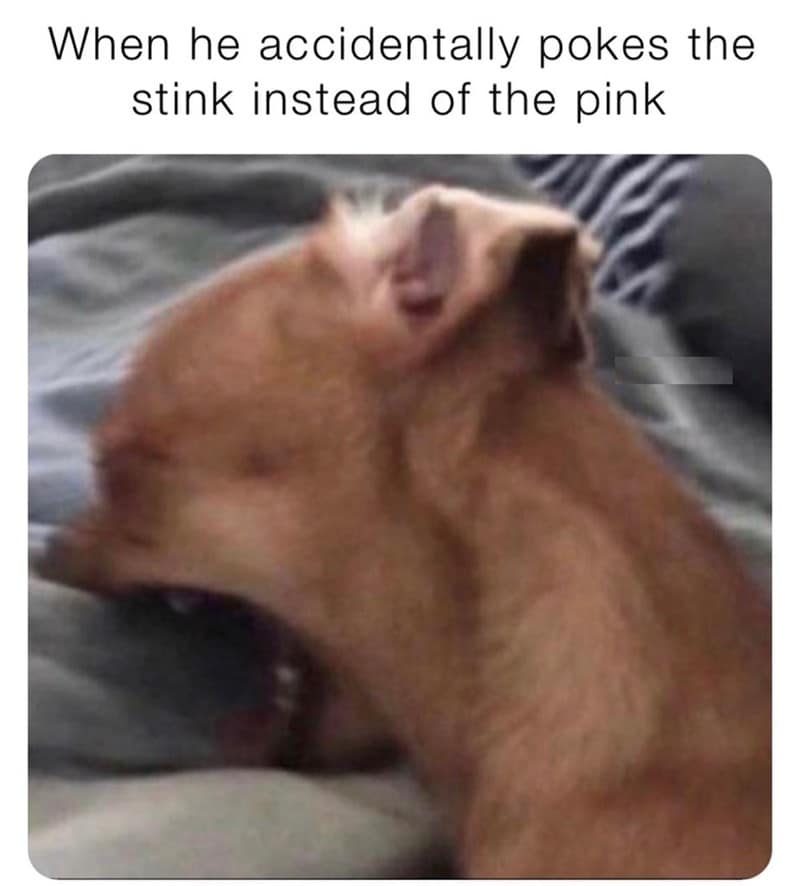 sexy memes, dirty memes, flirty memes, spicy memes, eductive memes, provocative memes, sensual memes, naughty memes