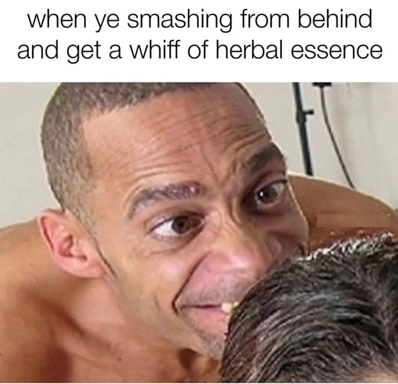 sexy memes, dirty memes, flirty memes, spicy memes, eductive memes, provocative memes, sensual memes, naughty memes