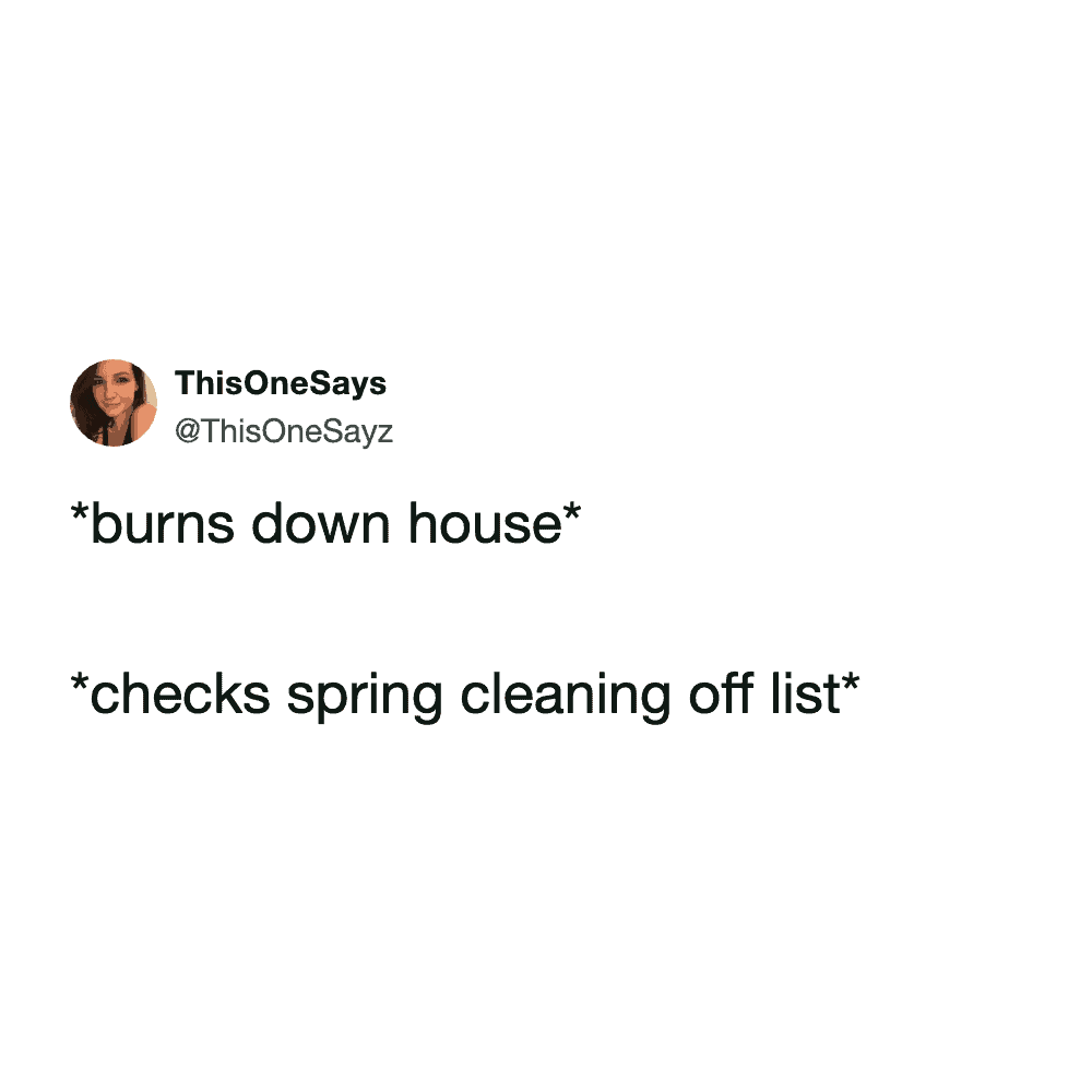 A text-based spring cleaning meme from user @ThisOneSayz that takes a scorched-earth approach to decluttering. The two-line joke features the actions "*burns down house*" followed by "*checks spring cleaning off list*."