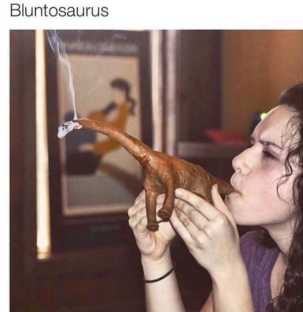 Stoner memes Bluntosaurus