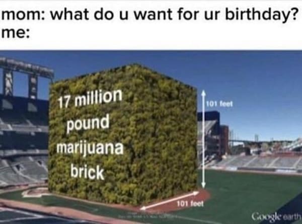 Stoner memes mom: what do u want for ur birthday? me: 17 million pound brick