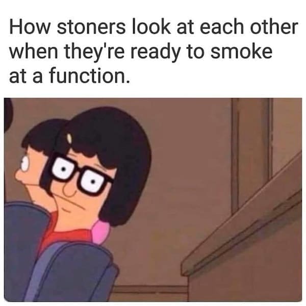 Stoner memes How stoners look at each other when they're ready to smoke at a function.