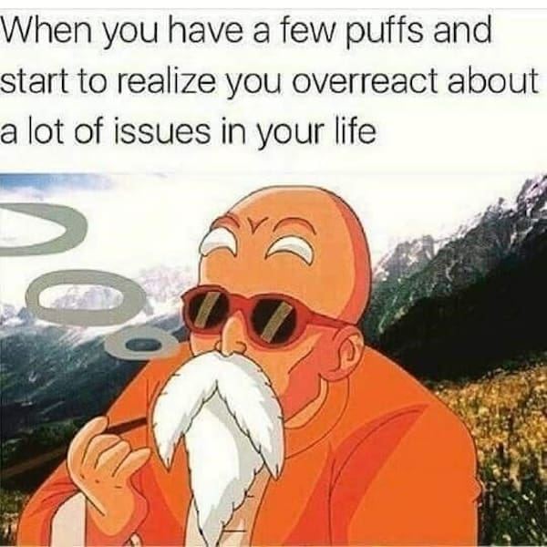 Stoner memes When you have a few puffs and start to realize you overreact about a lot of issues in your life