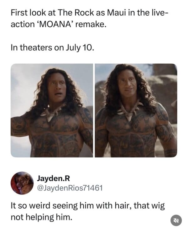 A critical The Rock wig meme featuring a tweet from Jayden.R. The image shows two stills of Maui from the live-action set, looking earnest and smiling, while the user comments on how artificial the hair looks: "It so weird seeing him with hair, that wig not helping him."