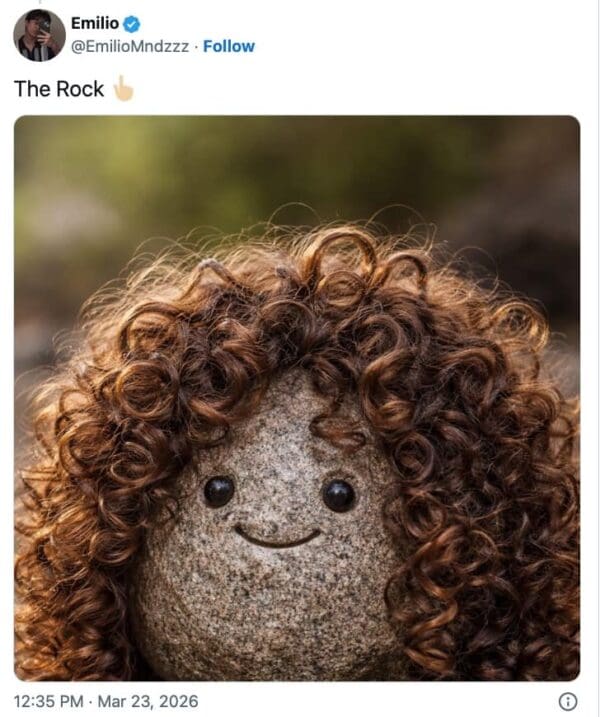 A literal-minded The Rock wig meme from Emilio. The image features an actual grey stone with googly eyes and a drawn-on smile, wearing a massive, curly brown wig to mimic the actor's new movie look.