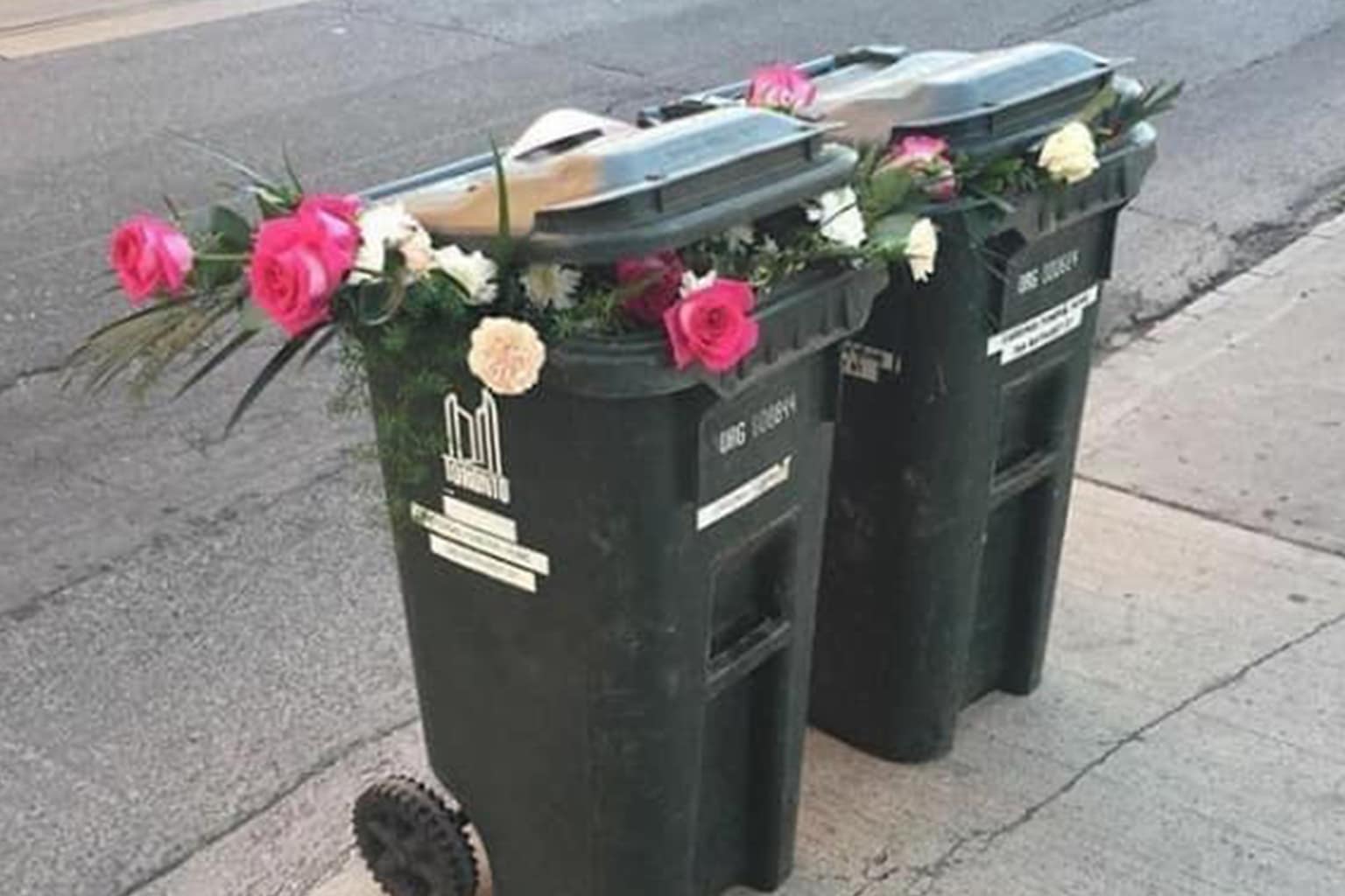 A collage of wholesome images featuring a fluffy yellow duckling wearing a pink flower hat, a devoted husband kneeling to act as a chair for his wife, and a tiny baby bunny peering through lush green leaves.