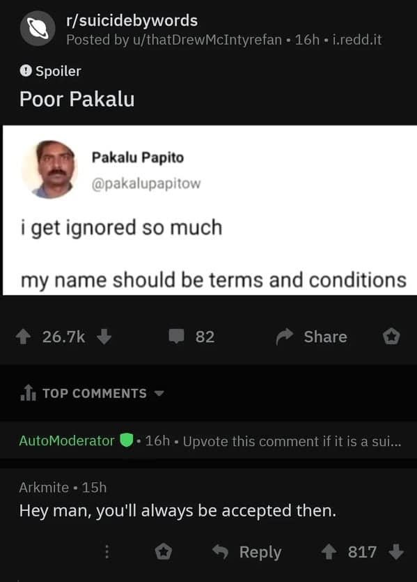 A wholesome moment where a commenter comforts Pakalu Papito by pointing out that "terms and conditions" are always accepted.
