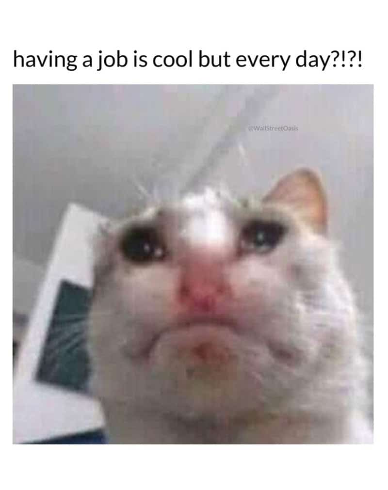 A teary-eyed, wide-angle photo of a crying cat serves as a relatable funny work meme questioning the unsustainable reality of having to go to a job every single day.