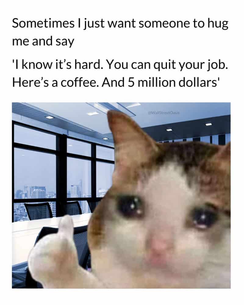 This work meme features a crying cat giving a thumbs-up in a corporate boardroom, paired with a wish for someone to hug them and offer a coffee along with a 5-million-dollar exit strategy.