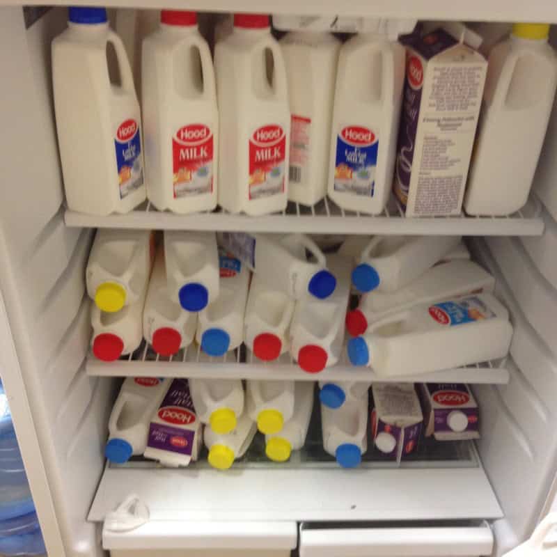 Office refrigerator crammed on every shelf with dozens of Hood milk jugs and cartons